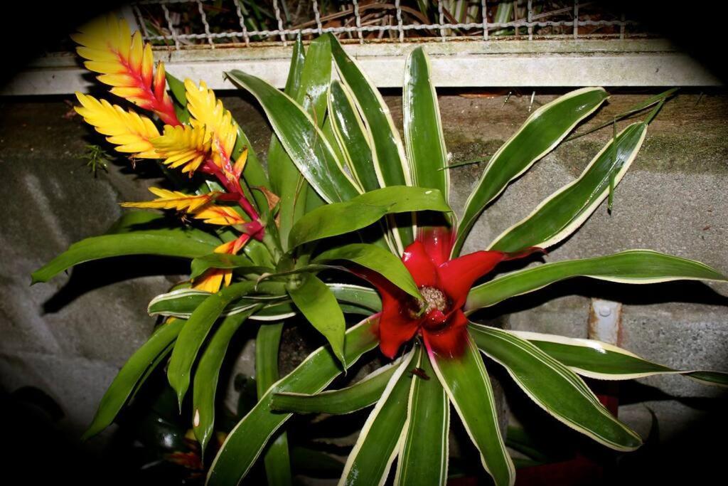 Sparadise A Natureza Em Harmonia Com Tecnologia * São Paulo