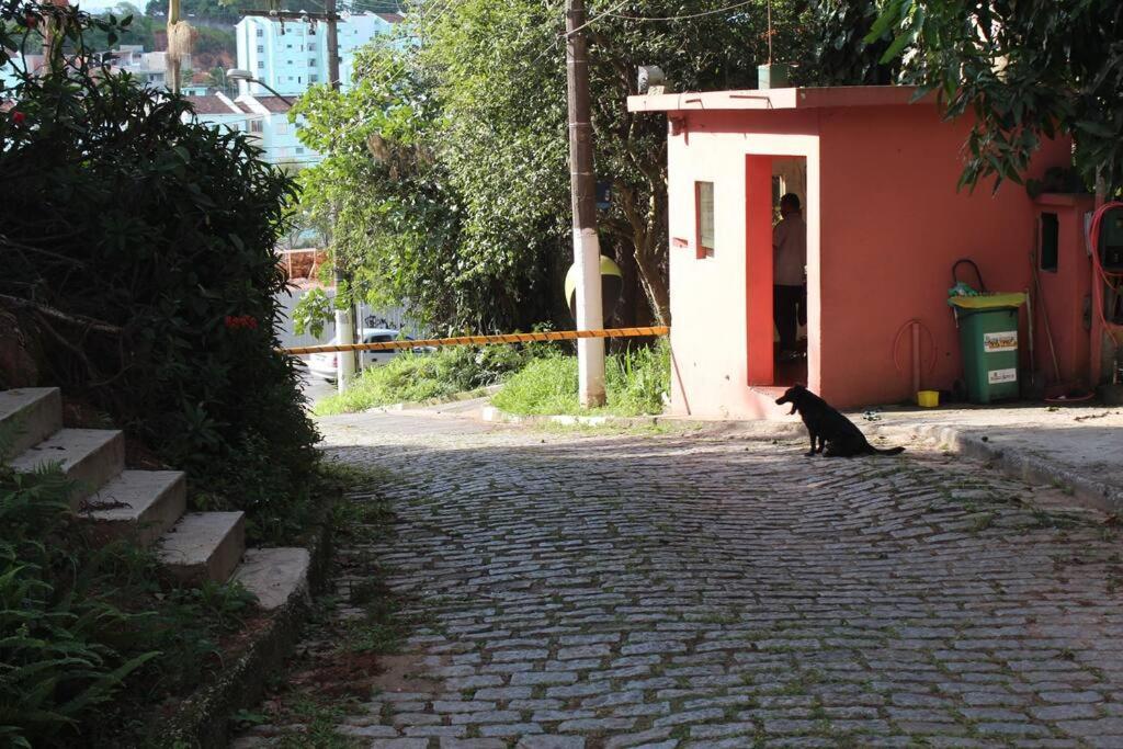 Sparadise A Natureza Em Harmonia Com Tecnologia São Paulo