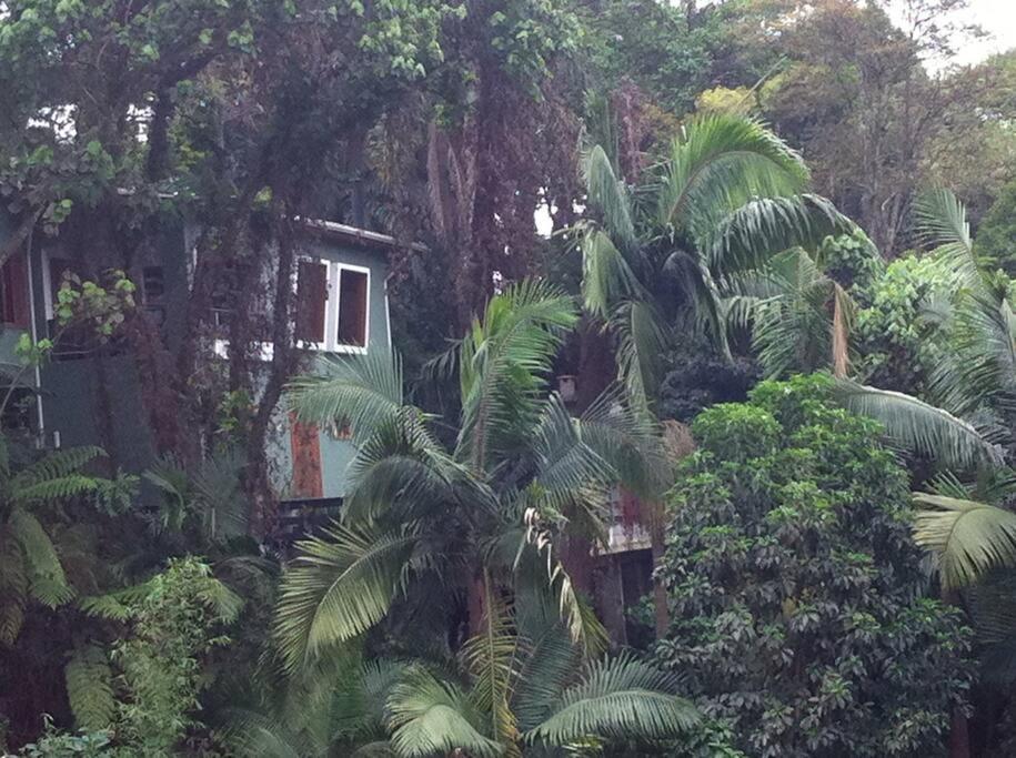 Sparadise A Natureza Em Harmonia Com Tecnologia Pousada São Paulo